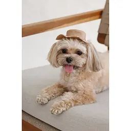 Панама Pet Fashion Print для собак М - мініатюра 7