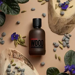 Парфумована вода для чоловіків Dsquared2 Original Wood 100 мл - мініатюра 3