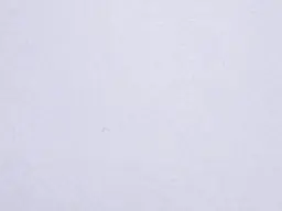 Фетр 2мм 50х40см:Білий (C62)