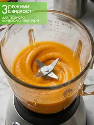 Блендер стаціонарний з кавомолкою 3в1 Rainberg Ice Crusher Grey 2000 Вт - мініатюра 8