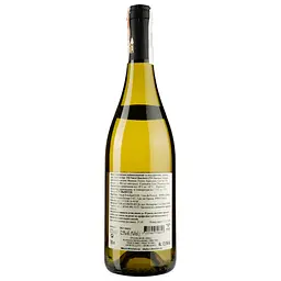 Вино Pascal Bouchard Saint-Bris Sauvignon 2017 біле сухе 0.75 л (723927) - мініатюра 2