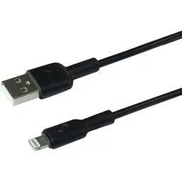 Мережевий зарядний пристрій Ridea RW-11311 Element Fast Charging USB - Lightning 2.1 A Black - мініатюра 3