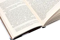 Відьмак. Останнє бажання. Книга 1 - Анджей Сапковський - мініатюра 4