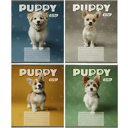 Упаковка зошитів ZiBi Kids Line Dogs 12 аркушів в косу лінію 25 шт. (ZB25.1753C)