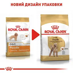 Сухий корм для дорослих собак породи Пудель Royal Canin Poodle Adult, 1,5 кг (3057015) - мініатюра 2