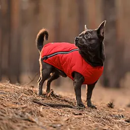 Жилет Pet Fashion E.Vest для собак, розмір SM, червоний - мініатюра 3