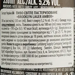 Пиво Brooklyn Brewery Hoppy Amber Lager світле 5.2% 0.33 мл - мініатюра 5