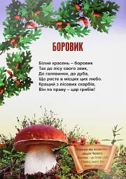 В щедрім лісі виріс гриб - Ніна Гаврилюк - мініатюра 4