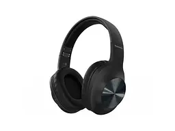 Гарнітура Panasonic RB-HX220BEE-K Black