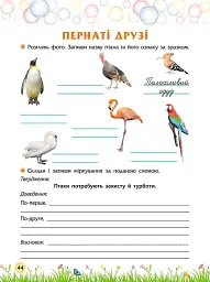 Секрети знань. Зустрічай 4 клас - Олена Шаповал - мініатюра 2