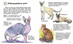 Книга Енциклопедія дошкільника: Коти Ранок С614039У shop (9786170992741) - мініатюра 2