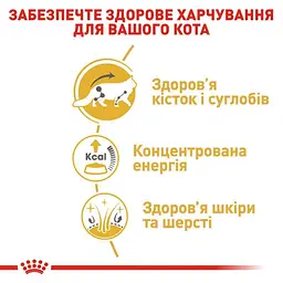 Вологий корм для дорослих кішок породи мейн-кун Royal Canin Maine Coon Adult, шматочки в соусі, 85 г - мініатюра 4