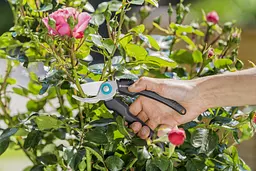 Секатор Gardena EcoLine Bypass до 18 мм (12210-20) - мініатюра 4