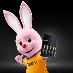 Зарядний пристрій для акумуляторів Duracell CEF14, 4 години, 1 шт. (Includes 2 AA1300mAh & 2 AAA750mAh) (5007497 / 5004990) - мініатюра 3