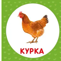 Свійські тварини. Перша книжка малюка - мініатюра 6