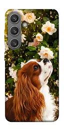 TPU чохол Demsky Flower spaniel для Samsung Galaxy S24+