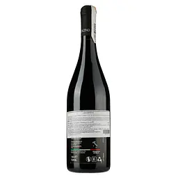 Вино L'Acino Toccomagliocco 2016 червоне сухе 0.75 л - мініатюра 2