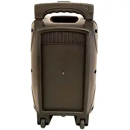 Акустична система XPRO 895 з мікрофоном (MER-15704_2772) - мініатюра 7
