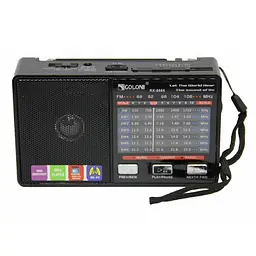 Цифровий FM радіоприймач Golon RX-8866 портативний чорний