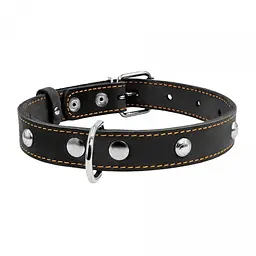Нашийник Collar одинарний з прикрасами, 32-40х2 см, чорний - мініатюра 2