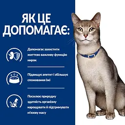 Сухий корм Hill's Prescription Diet k/d для котів підтримання функції нірок з тунцем Вага: 0.4 кг - мініатюра 4