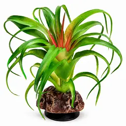 Штучна рослина Hobby Terra Succulent 3 14 см (37732) для тераріуму, акватераріуму та палюдаріуму