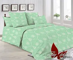 Комплект постільної білизни Євро TAG tekstil pbe0026621 - мініатюра 1