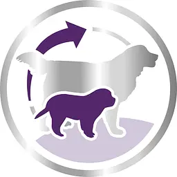 Сухий корм Royal Canin Giant Starter Mother & Babydog для цуценят гігантських порід, з м'ясом птиці і рисом, 4 кг - мініатюра 4