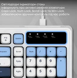 Провідна ігрова клавіатура Ajazz AF-GB-98 USB White-Blue - мініатюра 8