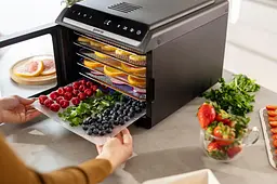 Сушарка для продуктів Gorenje 580 Вт піддонів 6 x 1.5 см дисплей пластик+метал чорний - мініатюра 8