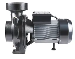 Насос поверхневий відцентровий Thermo Alliance CPm300/4 - мініатюра 2