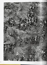 Sebastiao Salgado. Gold - мініатюра 3