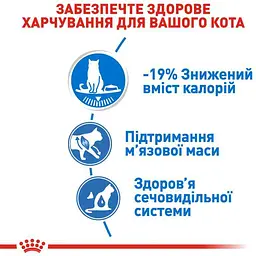Набір вологого корму для дорослих котів схильних до надмірної ваги Royal Canin Ultra Light шматочки в соусі 1.02 кг (12 шт. х 85 г) - мініатюра 4