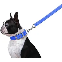 Повідець Dog Extreme з нейлону подвійний (ширина 20мм, довжина 122см), блакитний - мініатюра 4