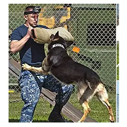 Рукав для дресирування собак Derby Dog Training Bite Sleeve, Бежевий - мініатюра 3