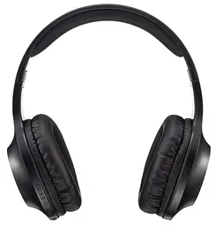 Гарнітура Panasonic RB-HX220BEE-K (6612084) - мініатюра 6