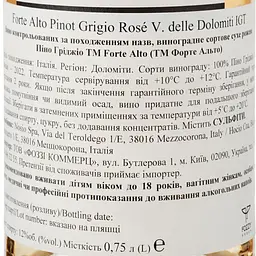 Вино Forte Alto Pinot Grigio Rose рожеве сухе 12.5% 0.75 л - мініатюра 3