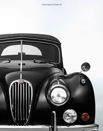 Black Beauties: Iconic Cars - мініатюра 7