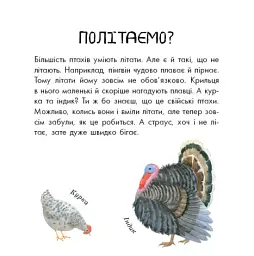 В гостях у природи. Птахи різні та дивовижні - мініатюра 2