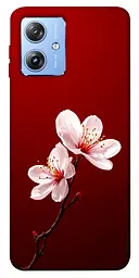 Чохол Demsky Sakura red для Motorola Moto G84