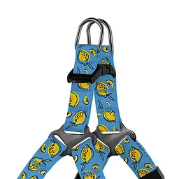 Шлея для собак дрібних порід BronzeDog Urban Fruits Лимони XXS 24-30 см - мініатюра 2