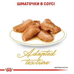 Вологий корм для дорослих кішок породи мейн-кун Royal Canin Maine Coon Adult, шматочки в соусі, 85 г - мініатюра 3