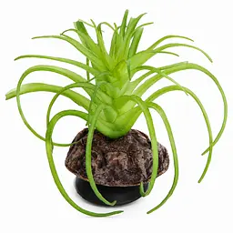 Штучна рослина Hobby Terra Succulent 5 8 см (37734) для тераріуму, акватераріуму та палюдаріуму - мініатюра 1