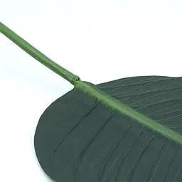 Штучне листя Engard Banana Tree 92 см (TW-52) - мініатюра 3