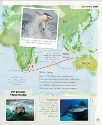 Amazing Animal Journeys - мініатюра 5