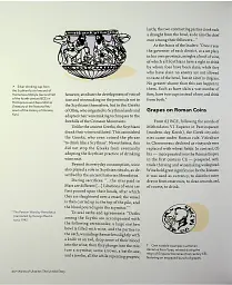 Wines of Ukraine. The Untold Story - Сергій Клімов - мініатюра 13