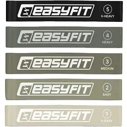 Резинки для фітнесу EasyFit MonoBand набір 5 шт. (EF-1813-GY)