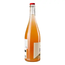 Вино игристое Dominio de Punctum Lanzado Pet Nat Rose, рожеве, сухе, 13,5%, 0,75 л (882989) - мініатюра 3