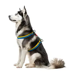 Шлея для собак WAUDOG Nylon анатомічна H-подібна з QR-паспортом "Colors of freedom" пластиковий фастекс XL (323-4020) - мініатюра 3
