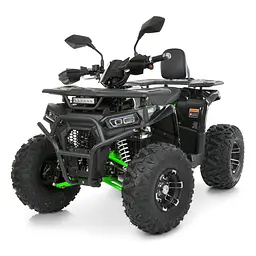 Квадроцикл бензиновий 125cc F/N/R 8 дюймів MP3 гідравлічні гальма до 82кг (AFN125-2-5)